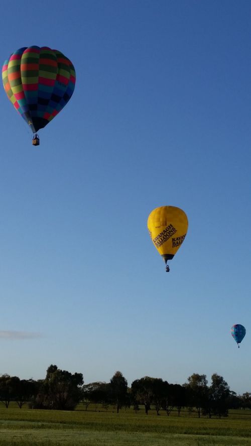 balloons hot air balloons sky