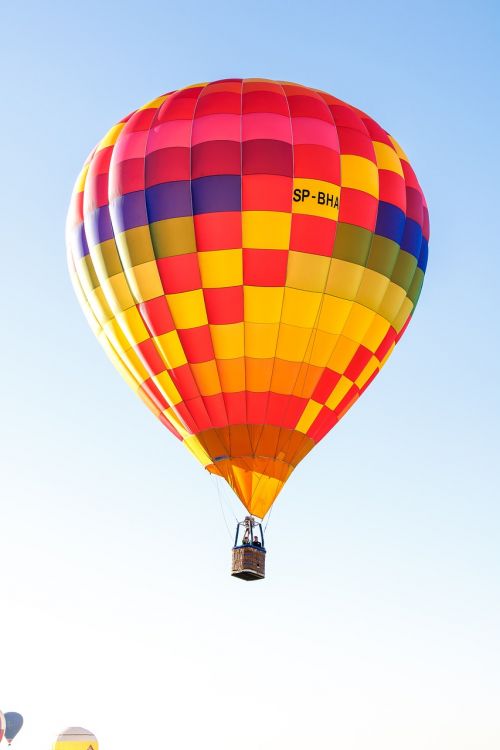 balloons flying colorful