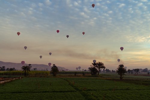 balloons  sky  flying