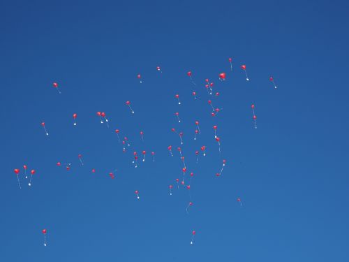balloons fly wedding