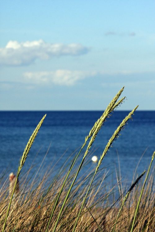 baltic sea beach clouds