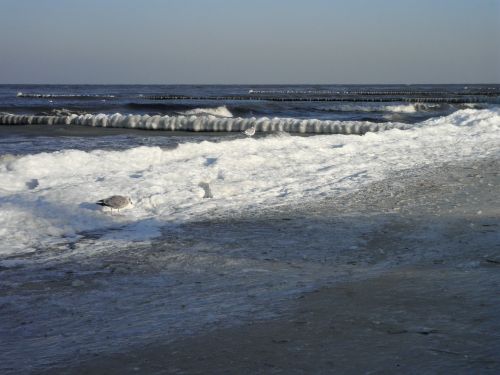 baltic sea winter ice