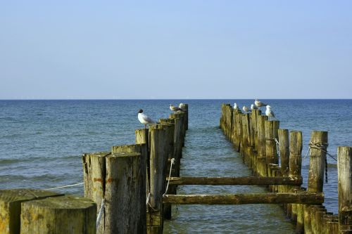 baltic sea beach zingst