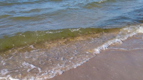 baltic sea water coast