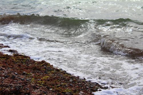 baltic sea beach wave