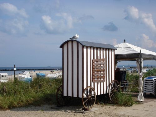 baltic sea damp beach life