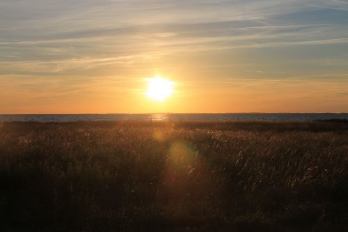 baltic sea sea sunset