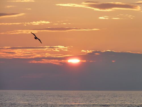 baltic sea poland kołobrzeg