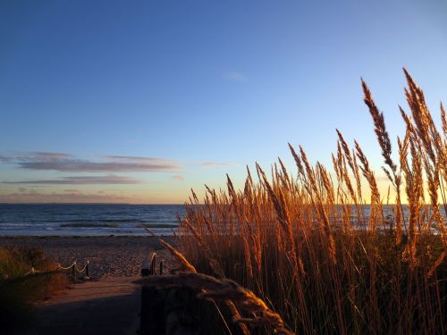 baltic sea beach winter