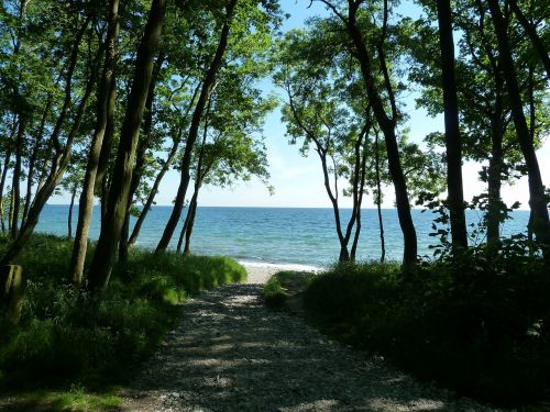 baltic sea beach holiday