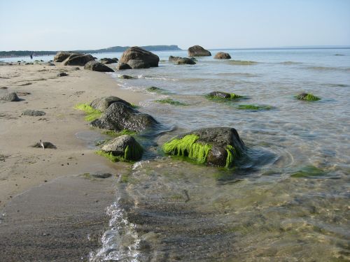 baltic sea beach nature