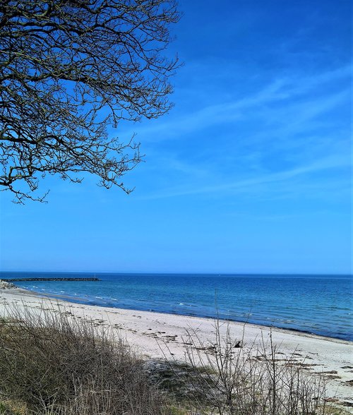 baltic sea  denmark  coast