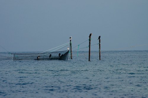 baltic sea  fishing  networks