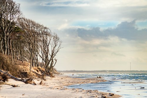 baltic sea  west beach  fischland-darss