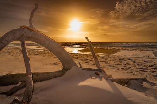 baltic sea  west beach  sunset