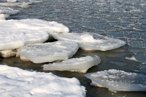 baltic sea in winter  ice floes in the sea  coast