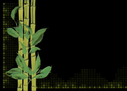 bamboo plant digital creation