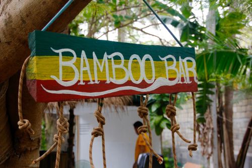 bamboo bar shield