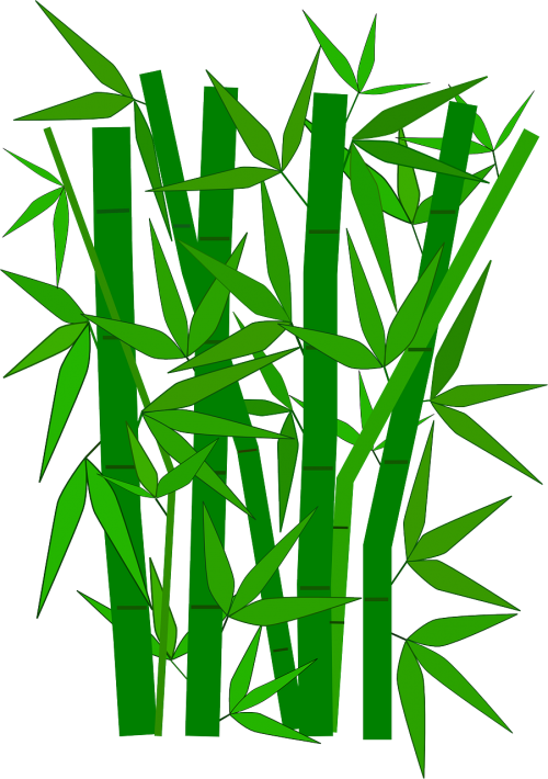 bamboo green leaves