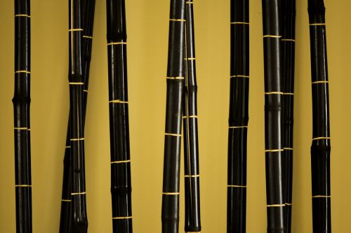 bamboo background asian