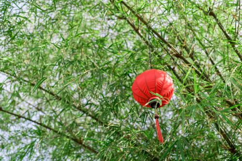 bamboo lantern green