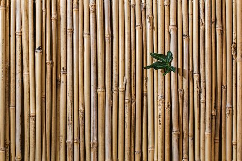 bamboo barrier screen fence