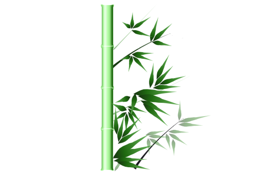 bamboo green ink