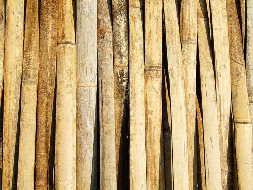 bamboo texture thailand