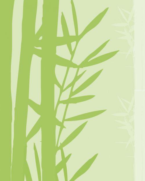 Bamboo Background Wallpaper