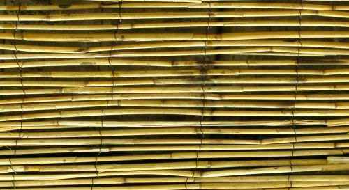 Bamboo Blinds Background