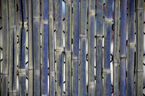 Bamboo Fence Background