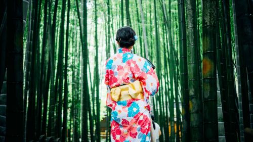 bamboo trees girl kimono