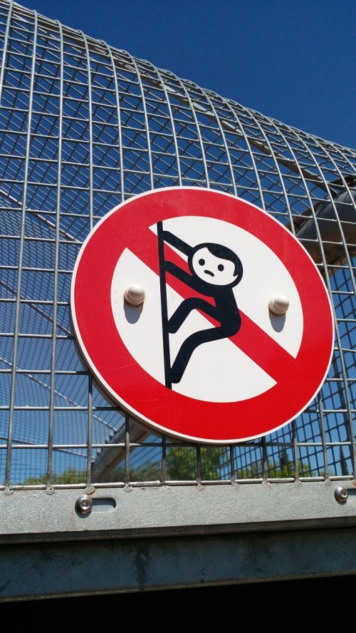 ban monkey child