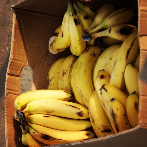 banana yellow fruit
