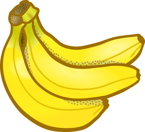 banana bunch education