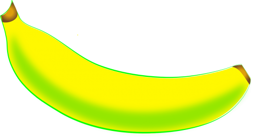banana fruit organic