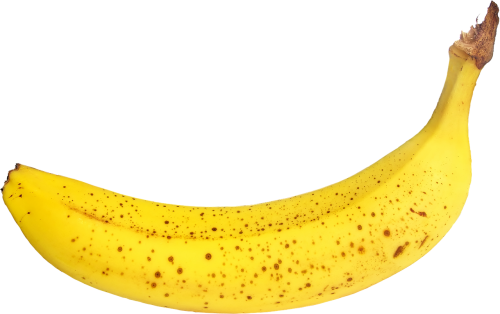 banana southern fruit yellow