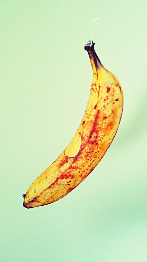 banana food art