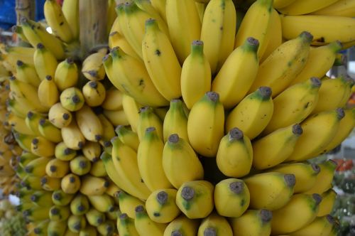 banana small banana organic banana
