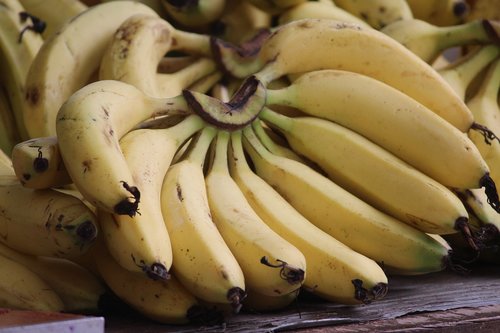 banana  musa  fruit