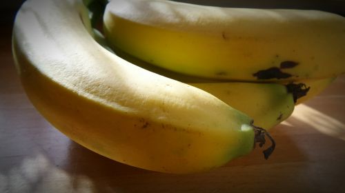 banana fruit banana shrub