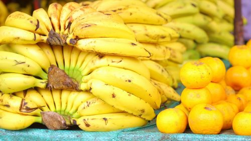 banana tree gallery fruit