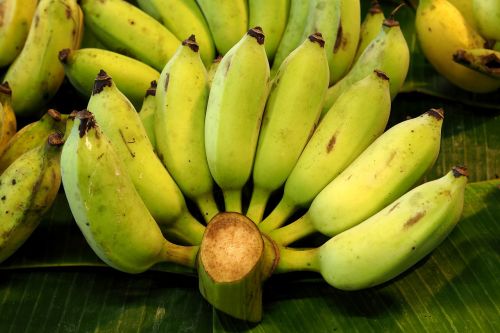bananas fruit cultivated banana