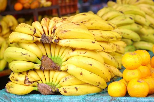 bananas gallery fruit