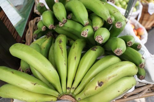 bananas green eat