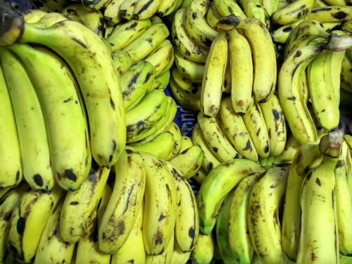 bananas musa basjoo fruits