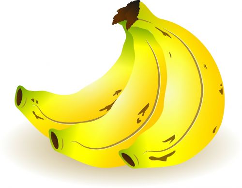 bananas bunch fruit