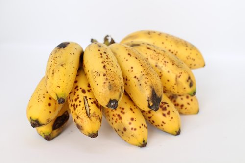 bananas  fruit  tropical