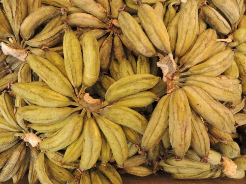 bananas dried texture