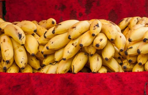 bananas sale fruit